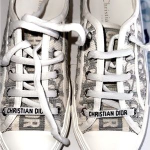 Walk'n'Dior Sneaker

Stone Gray Dior Oblique Embroidered Cotton